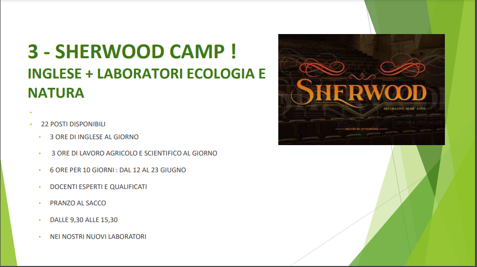 3- SHERWOOD CAMP